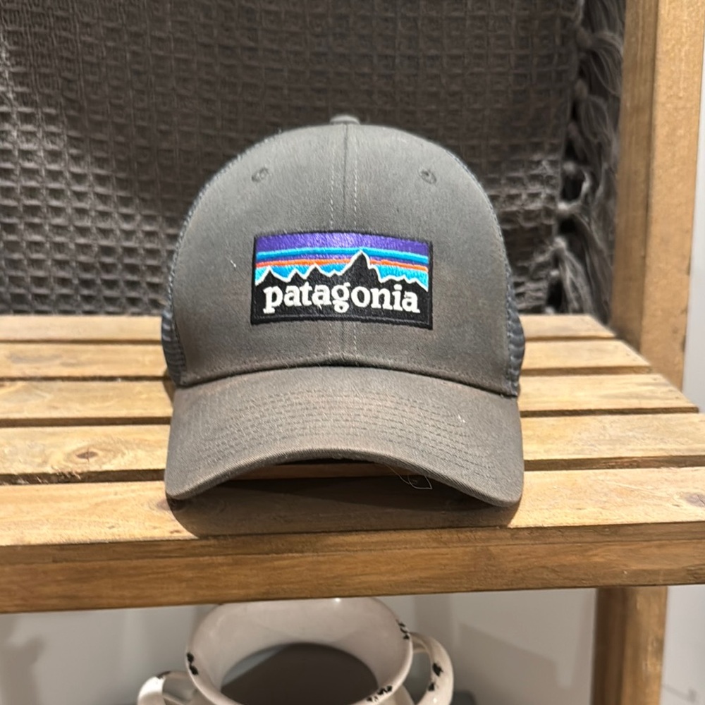 Patagonia Gray Trucker Hat